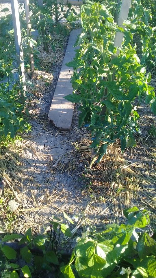 Photo n° 5 de l'avis de catherine.o fait le 01/09/2018 à 16:16