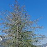 Photo n°2 de l'avis de Chicca.i fait le 06/04/2024 à 20:07 sur le  Dorada Lago à Monte Isola