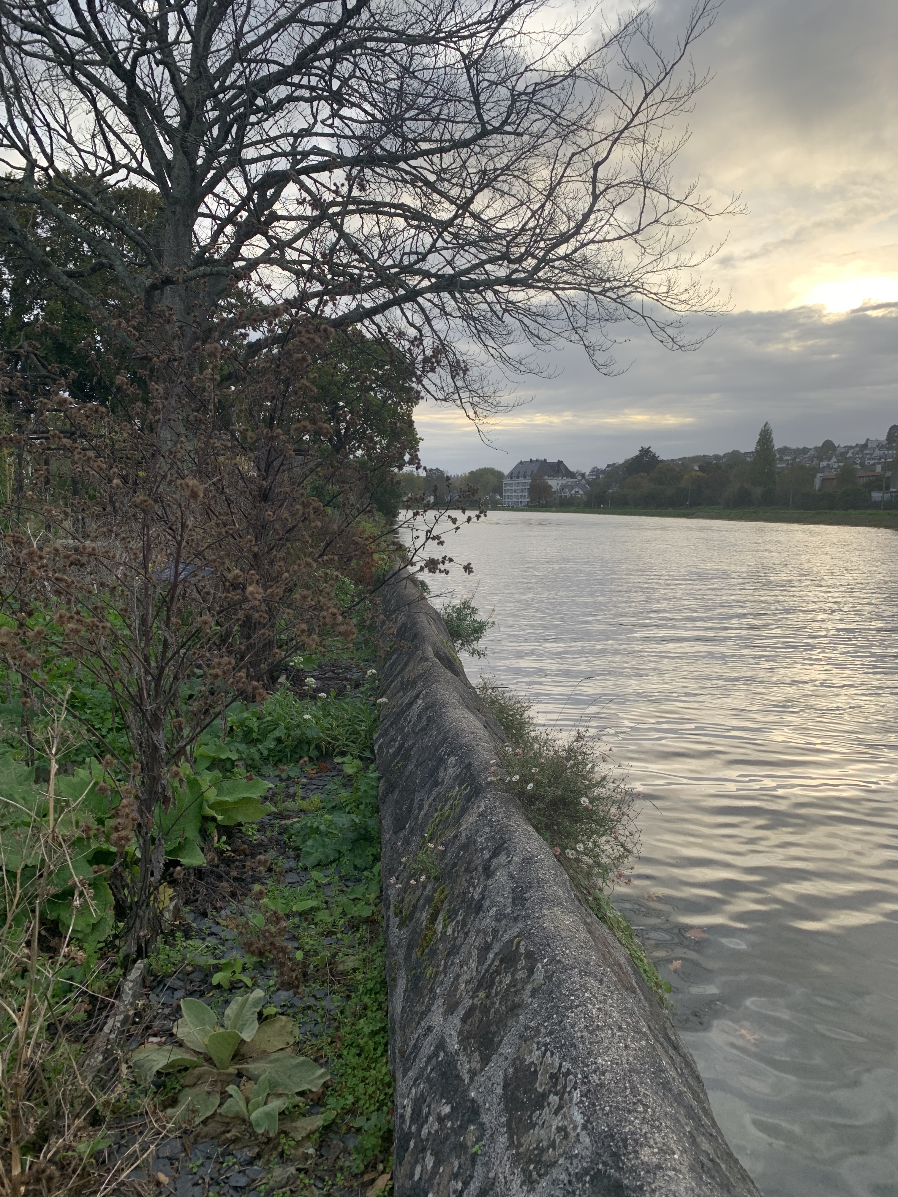 Photo n° 7 de l'avis de Su.e fait le 26/10/2022 à 17:49