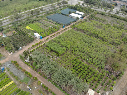 Vườn ươm Bách Khoa - CTy TNHH Hoàng Lam