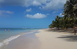 Foto di Spiaggia delle balene area servizi