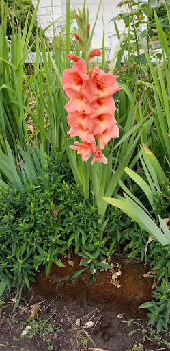 Athletic Field «Sunset Athletic Club», reviews and photos, 13939 NW Cornell Rd, Portland, OR 97229, USA