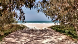 Zdjęcie Minjerribah Camping Beach z proste i długie