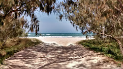 Photo de Minjerribah Camping Beach avec un niveau de propreté de très propre