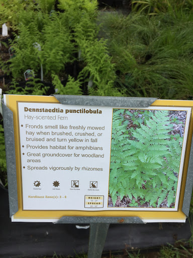 Golf Course «Mount Pleasant Golf Course», reviews and photos, 6001 Hillen Rd, Baltimore, MD 21239, USA