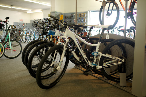 Bicycle Store «Pedal Power Bicycles», reviews and photos, 1904 Staples Mill Rd, Richmond, VA 23230, USA