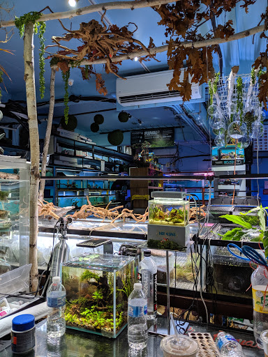 Aquarium «Pacific Aquarium & Plant Inc», reviews and photos, 46 Delancey St #1, New York, NY 10002, USA