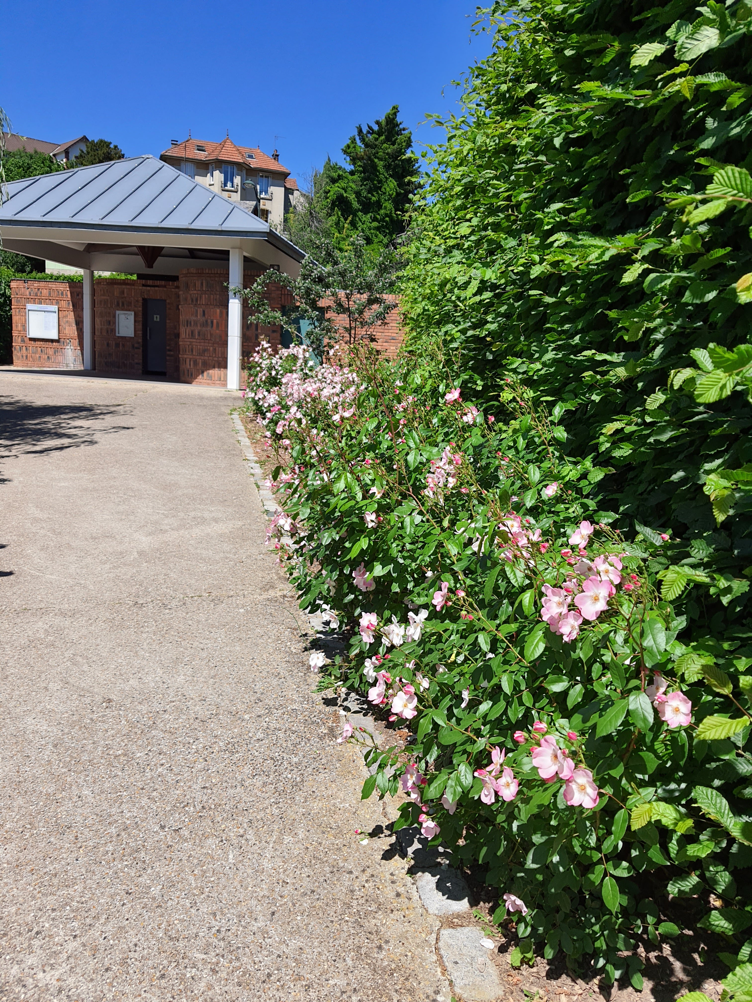 Photo n° 3 de l'avis de Catherine.a fait le 12/07/2021 à 09:18