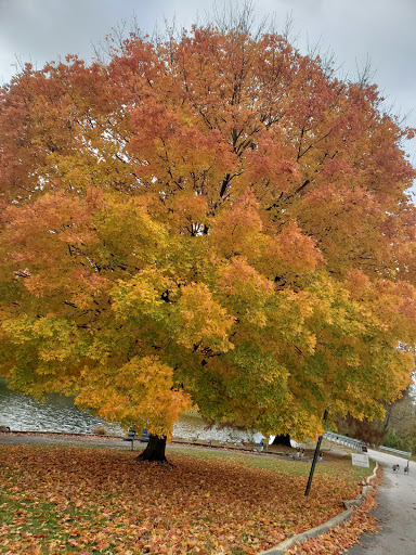 City Park «Krannert Park», reviews and photos, 605 South High School Road, Indianapolis, IN 46241, USA