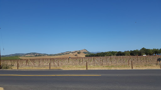 Winery «Madonna Estate», reviews and photos, 5400 Old Sonoma Rd, Napa, CA 94559, USA