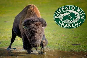 Buffalo Run Ranch image