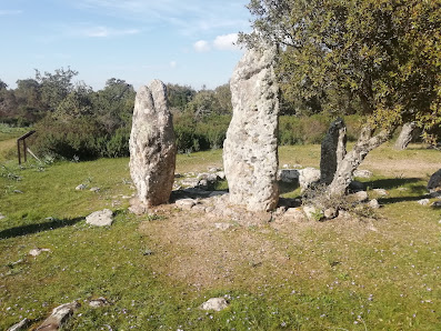 Circolo megalitico Località Pranu Muttedu, 09040 Goni SU, Italia