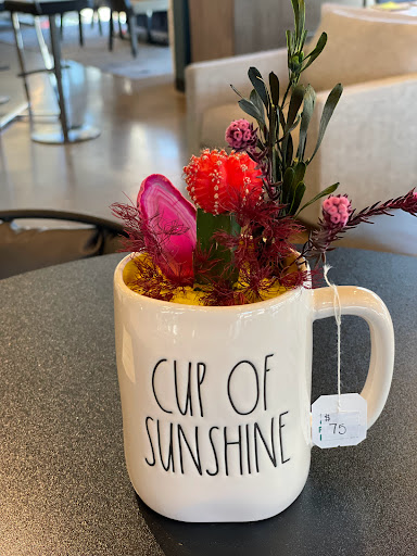 Furniture Store «Euro Living Modern Furniture store Dallas Texas», reviews and photos, 4200 Harry Hines Blvd, Dallas, TX 75219, USA