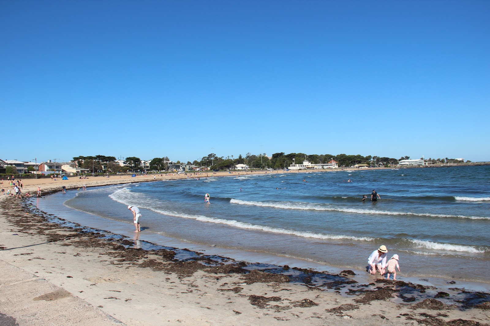 Foto van Williamstown Beach met helder zand oppervlakte