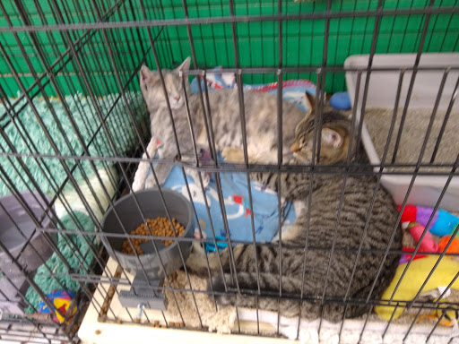 Pet Supply Store «Pet Supplies Plus», reviews and photos, 1380 W Lane Ave, Upper Arlington, OH 43221, USA