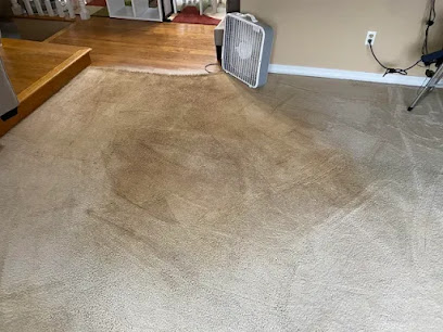 Polite Carpet Cleaning Service