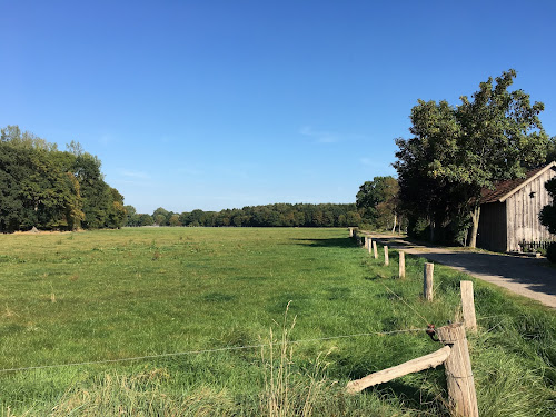 Oldenburger Bettenbörse à Hude