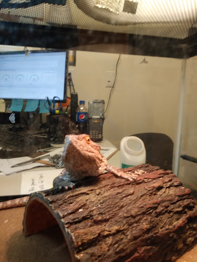 Pet Supply Store «PetSmart», reviews and photos, 1460 Koester Rd, Forsyth, IL 62535, USA