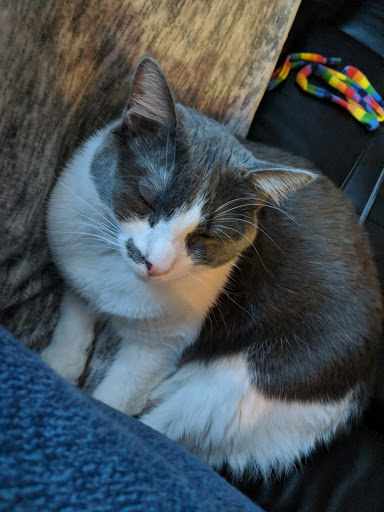 Pet Store «Pet Valu», reviews and photos, 604 Plaza Dr, Newark, DE 19702, USA