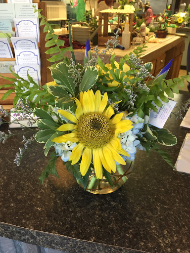 Florist «Merrimon Florist Inc», reviews and photos, 329 Merrimon Ave, Asheville, NC 28801, USA