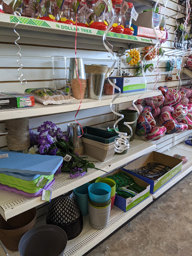Dollar Store «Dollar Tree», reviews and photos, 205 Sam Walton Way, Terrell, TX 75160, USA