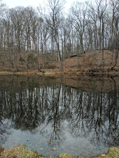 Park «Pilgrim Hill Local Park», reviews and photos, 1615 E Randolph Rd, Silver Spring, MD 20904, USA