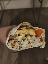 Chawarma du Kebab Chez Anatole à Bordeaux - n°5