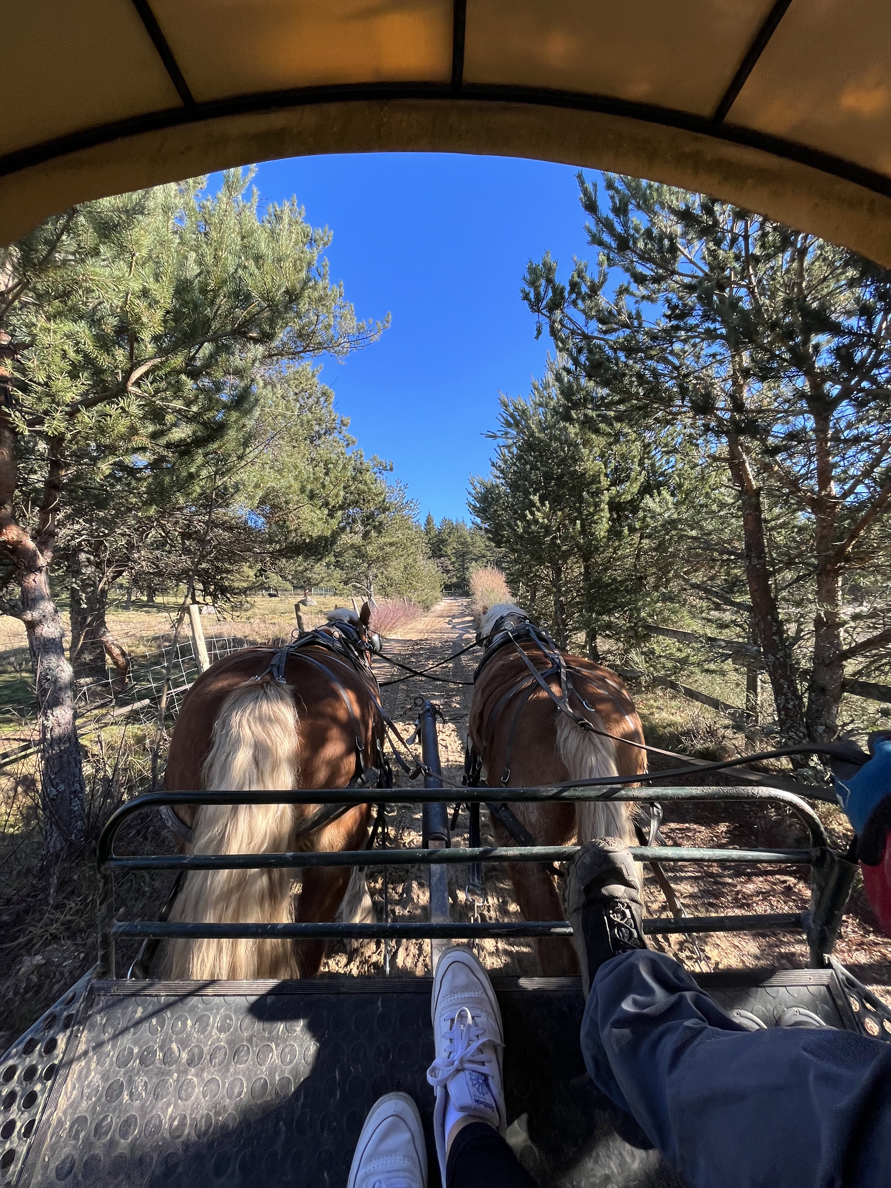 Photo n° 9 de l'avis de kerl.o fait le 06/01/2023 à 20:29