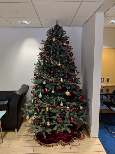 Mercedes Benz Dealer «Mercedes-Benz of Natick», reviews and photos, 253 N Main St, Natick, MA 01760, USA