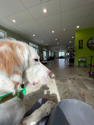 Cavan Hills Veterinary Services image