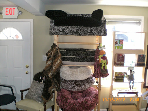 Pet Groomer «Plush Pups Dog Grooming & Pet Supplies», reviews and photos, 2335 Huntingdon Pike, Huntingdon Valley, PA 19006, USA