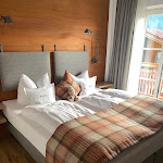 Photo n°2 de l'avis de Thilo. fait le 24/09/2020 à 15:53 sur le  Hotel & Gasthof Dannerwirt à Flintsbach