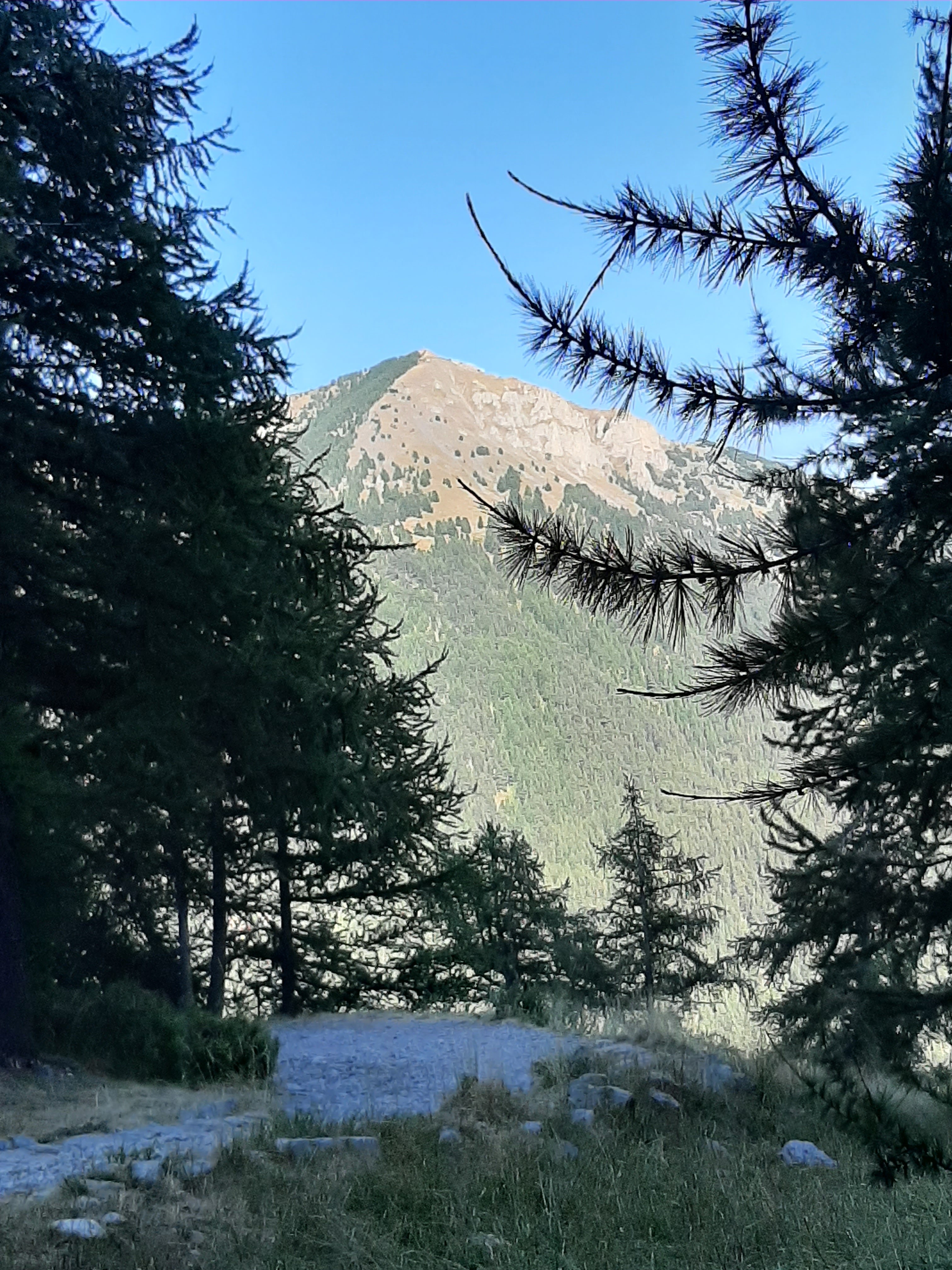 Photo n° 9 de l'avis de Patrick.A fait le 28/08/2023 à 18:52