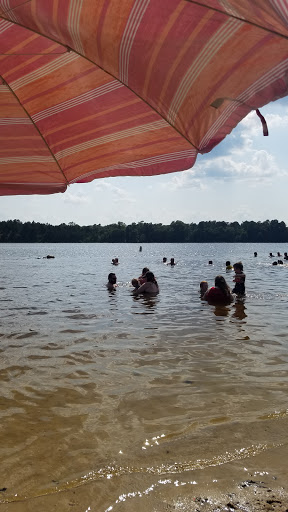 State Park «Parvin State Park», reviews and photos, 701 Almond Rd, Pittsgrove Township, NJ 08318, USA