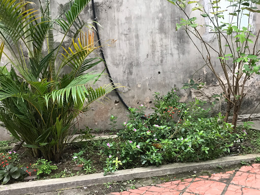 Top 15 cửa hàng game china Huyện Cẩm Giàng Hải Dương 2022