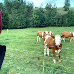 Photo n°10 de l'avis de allegro.e fait le 22/09/2021 à 08:05 sur le  Schwarzwaldpark Hotel à Löffingen