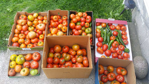 Public Golf Course «Orono Public Golf Course», reviews and photos, 265 Orono Orchard Rd S, Wayzata, MN 55391, USA