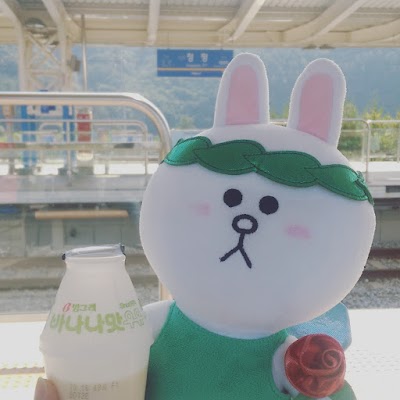 Photos of Cheongpyeong Station
