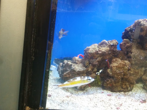 Pet Supply Store «Petco Animal Supplies», reviews and photos, 753 53rd Ave NE, Fridley, MN 55421, USA