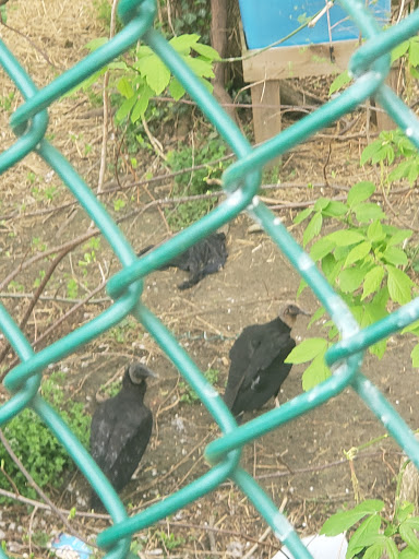 Supermarket «Weis Markets», reviews and photos, 5715 Crain Hwy, Upper Marlboro, MD 20772, USA