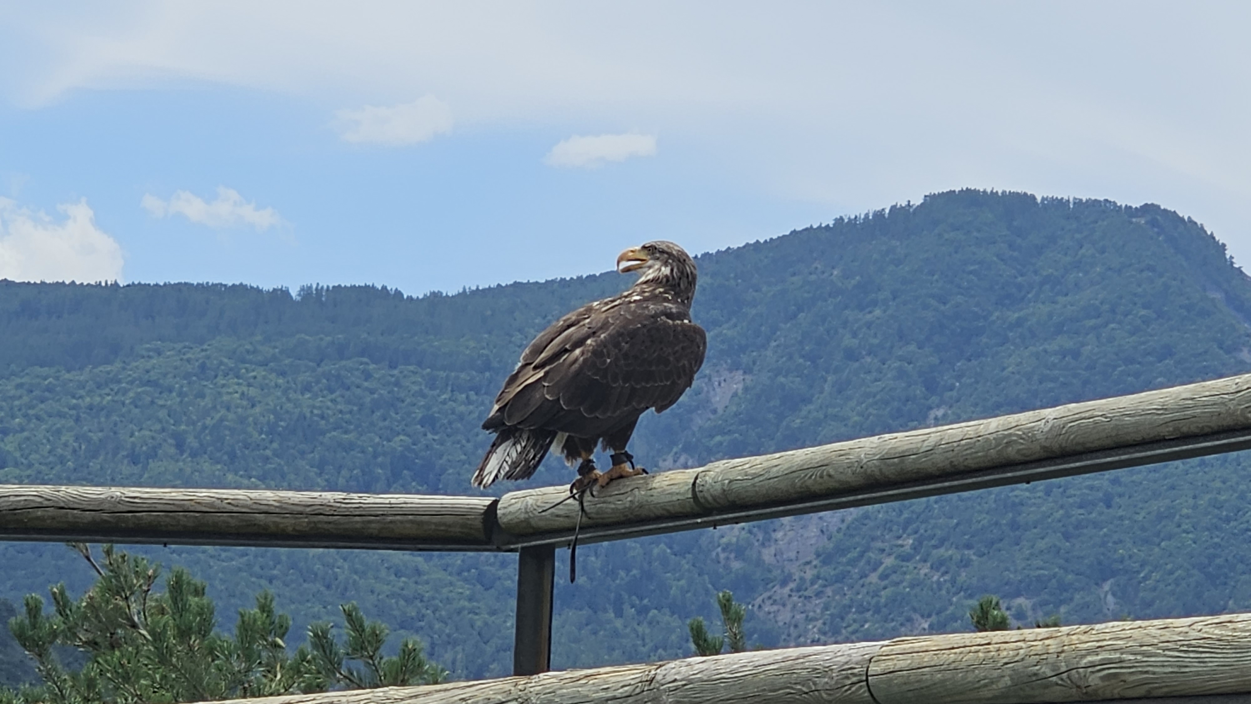 Photo n° 1 de l'avis de Emoli. fait le 31/07/2023 à 14:47