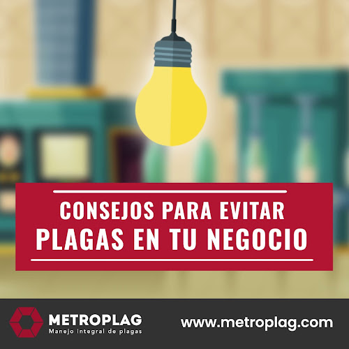 Comentarii opinii despre Metroplag Control de Plagas y fumigación