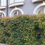 Photo n°3 de l'avis de Francesca.e fait le 12/05/2022 à 21:58 sur le  Airone City Hotel à Catania