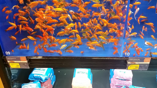 Pet Supply Store «PetSmart», reviews and photos, 131 Town Center Rd, King of Prussia, PA 19406, USA