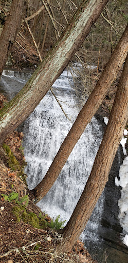 Nature Preserve «Sweedler and Thayer Preserves», reviews and photos, 10 Townline Rd, Ithaca, NY 14850, USA