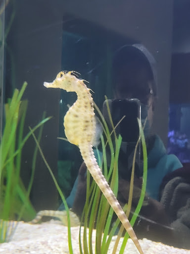 Aquarium «Great Lakes Aquarium», reviews and photos, 353 Harbor Dr, Duluth, MN 55802, USA