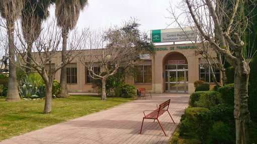 Centro de Transfusión Tejidos y Células de Córdoba