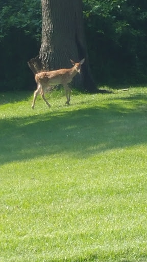 Golf Club «Flushing Valley Golf Club», reviews and photos, 1124 E Main St, Flushing, MI 48433, USA