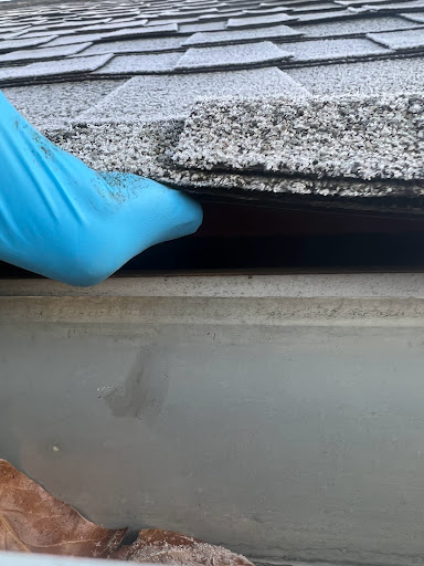 Animal Control Service «Xceptional Wildlife Removal», reviews and photos