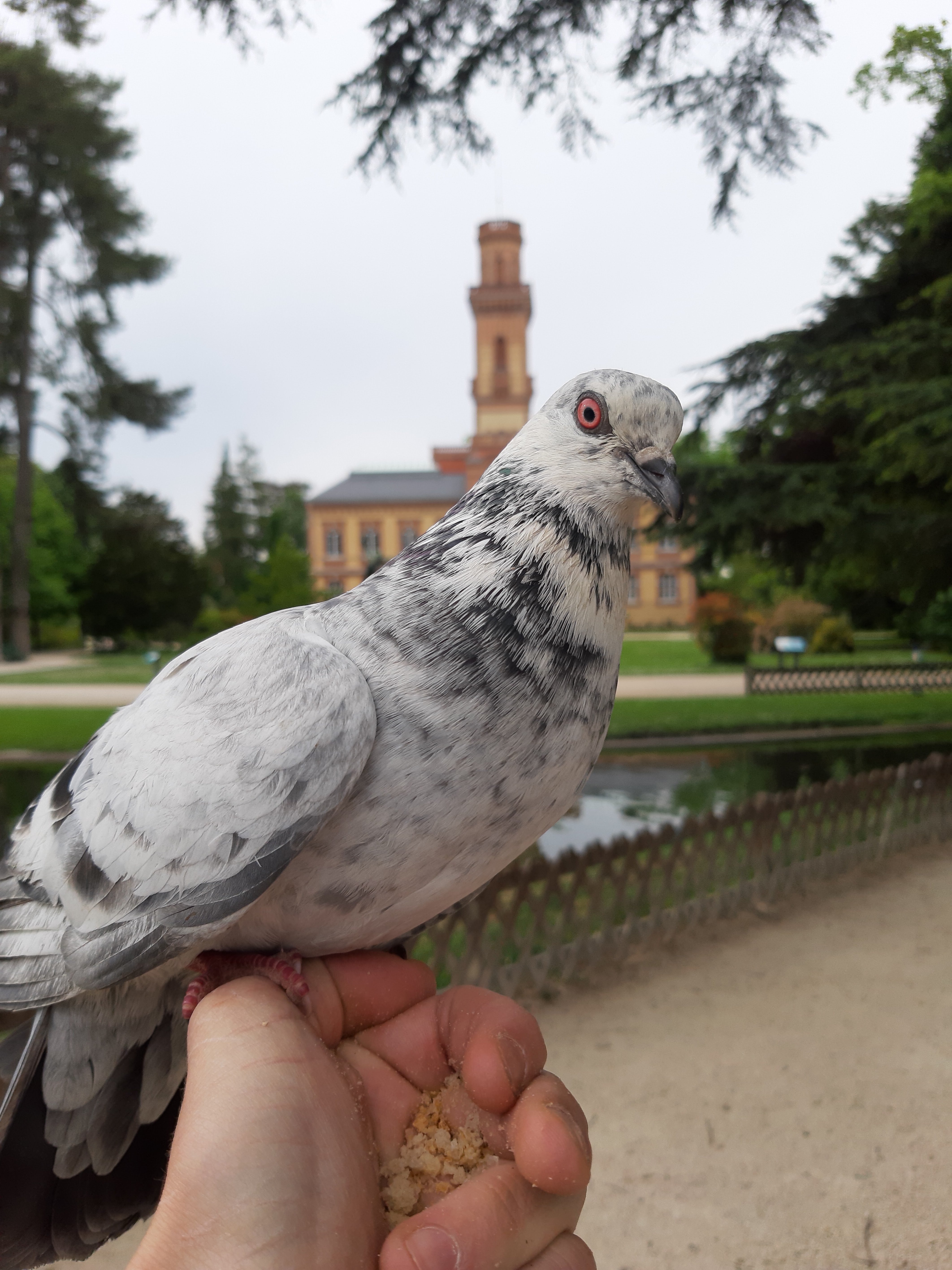 Photo n° 2 de l'avis de Alexandre.o fait le 30/04/2018 à 13:37